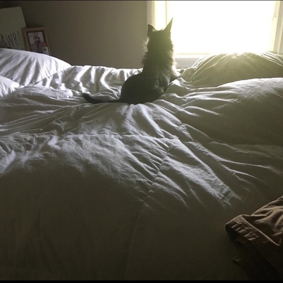 🌻💐🌷 - Picture 4 of 8